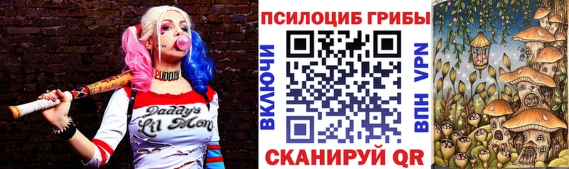 Купить где  Петровск  Псилоцибиновые грибы Psilocybe 